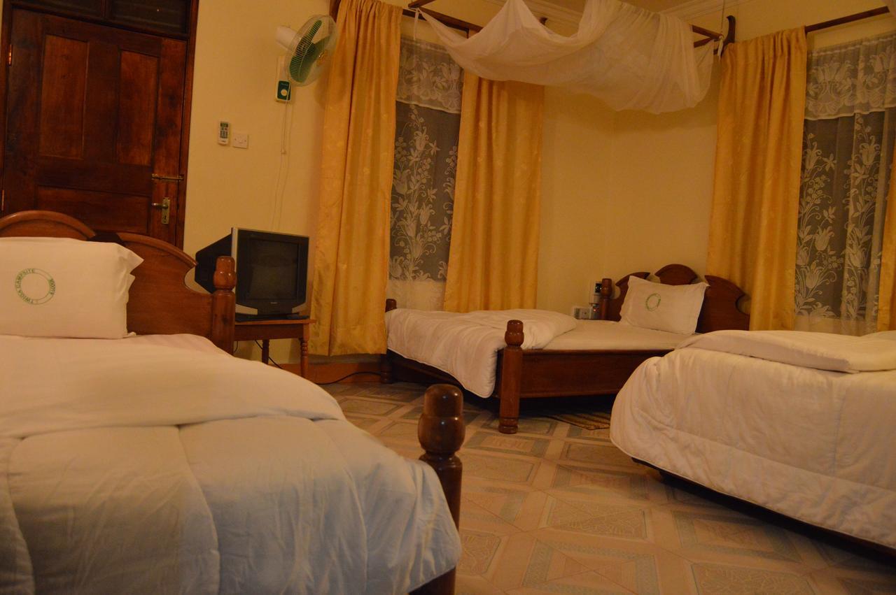 Twiga Lodge And Campsite Mto wa Mbu Bagian luar foto